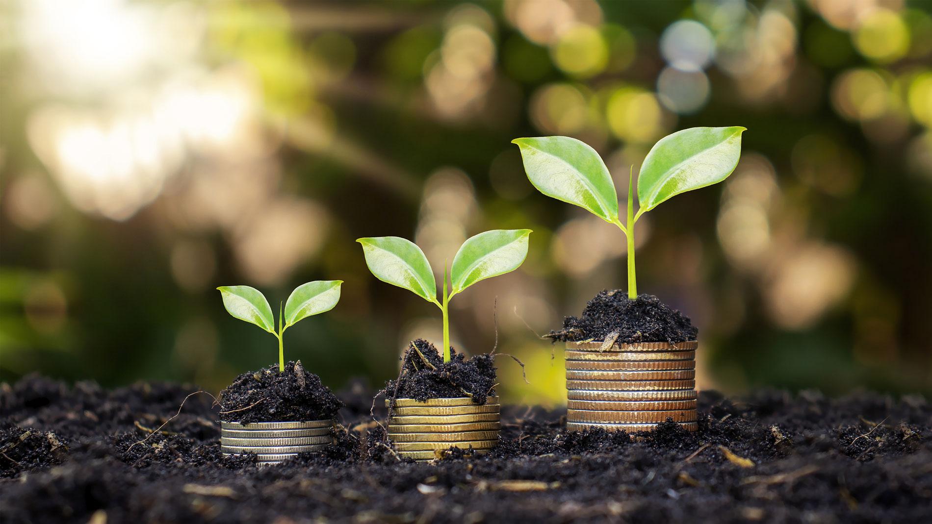 cumulatief preferente aandelen (cumprefs) 1